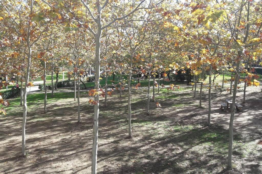 House In Sant Cugat, 25 Mins To Barcelona Center * Sant Cugat del Vallès